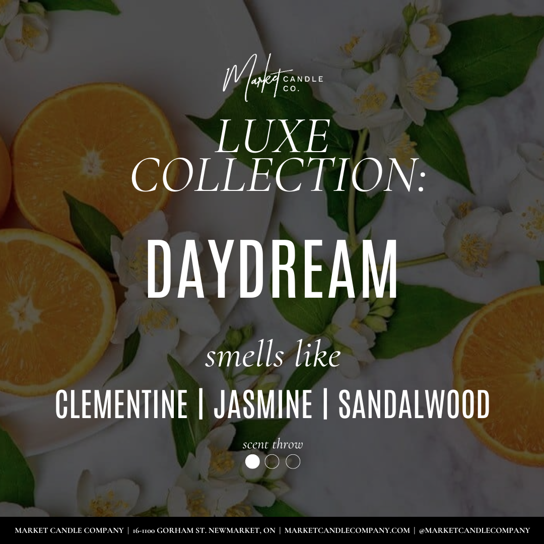 DAYDREAM  SOY WAX CANDLE