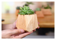 Modern Minimalist: Wooden Flowerpot