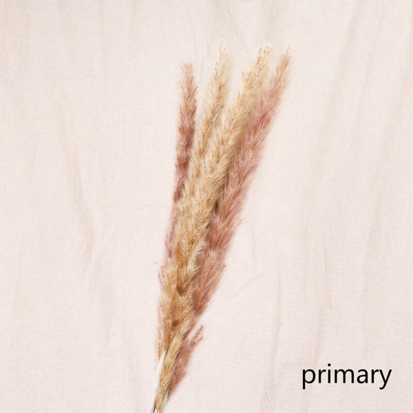 Nature's Elegance: Dried Reed Flower Home Decor