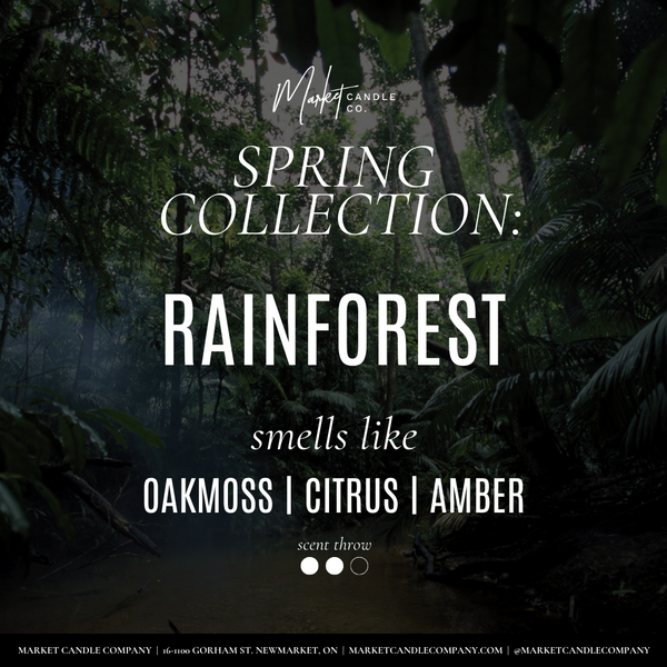 RAINFOREST FINE FRAGRANCE OIL