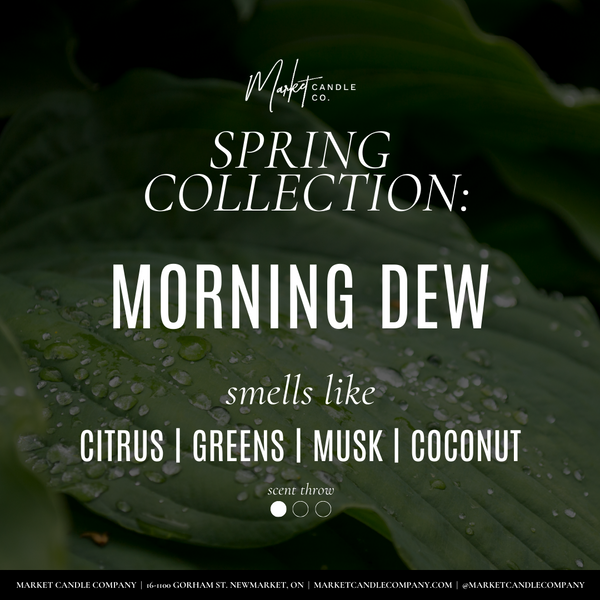 MORNING DEW FRAGRANCE SPRAY