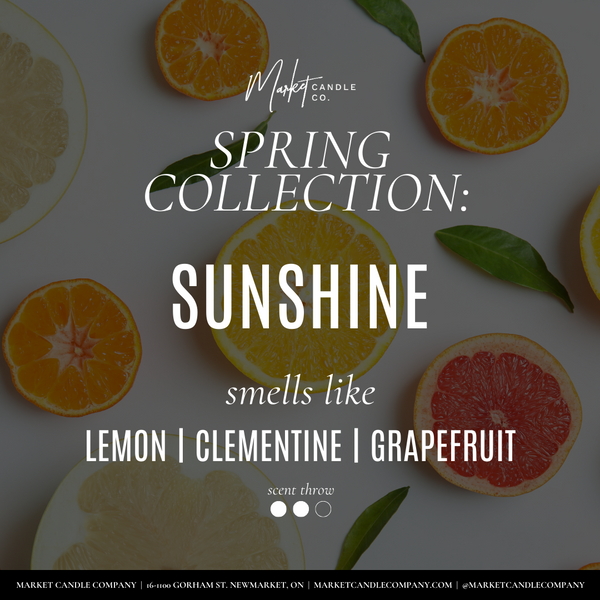 SUNSHINE SOY WAX MELT