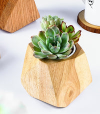 Modern Minimalist: Wooden Flowerpot