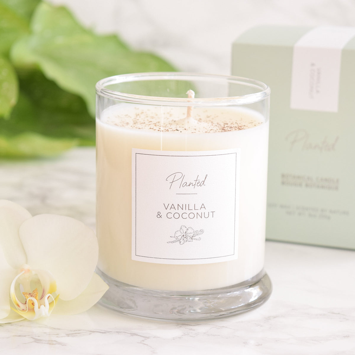 Warm Vanilla & Coconut Candle