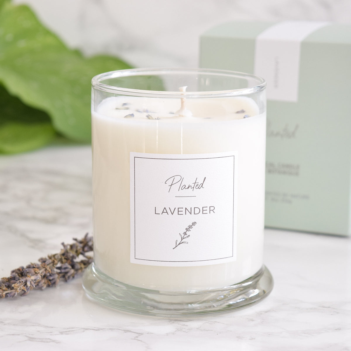 Calming Lavender Candle