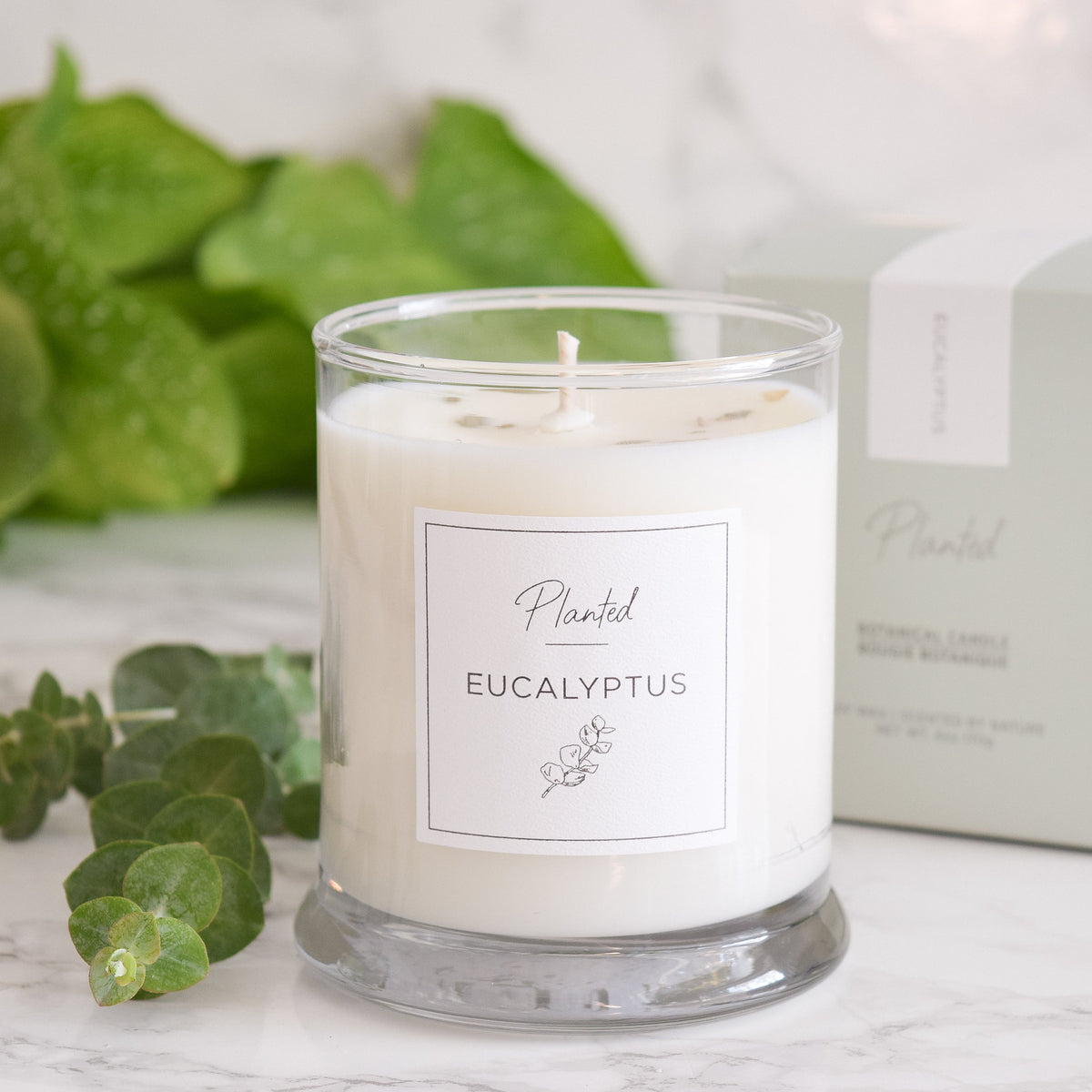 Energizing Eucalyptus Candle