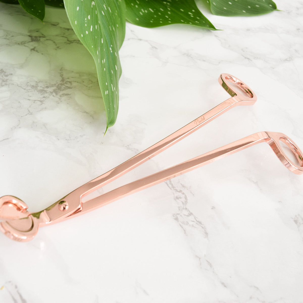 Rose-Gold Wick Trimmer