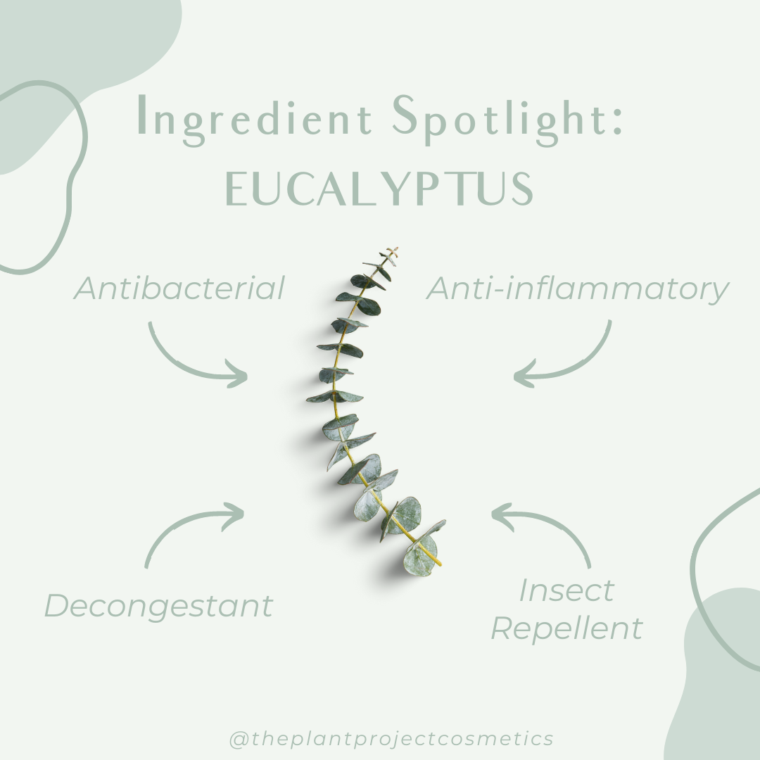 Energizing Eucalyptus Candle