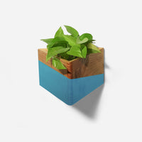 Triangle wall-mounted planter-0