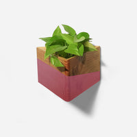 Triangle wall-mounted planter-7