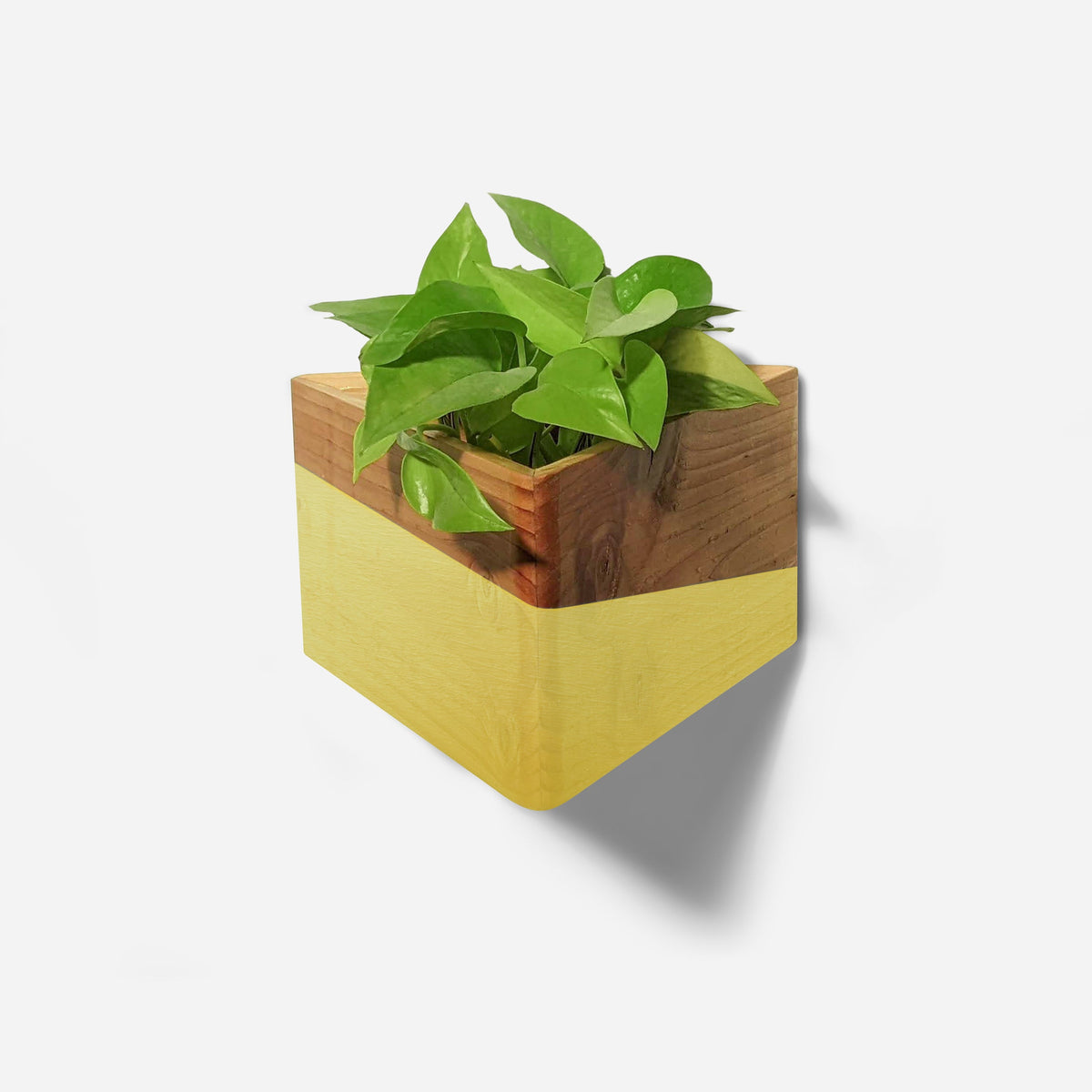 Triangle wall-mounted planter-6