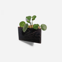 Triangle wall-mounted planter-2