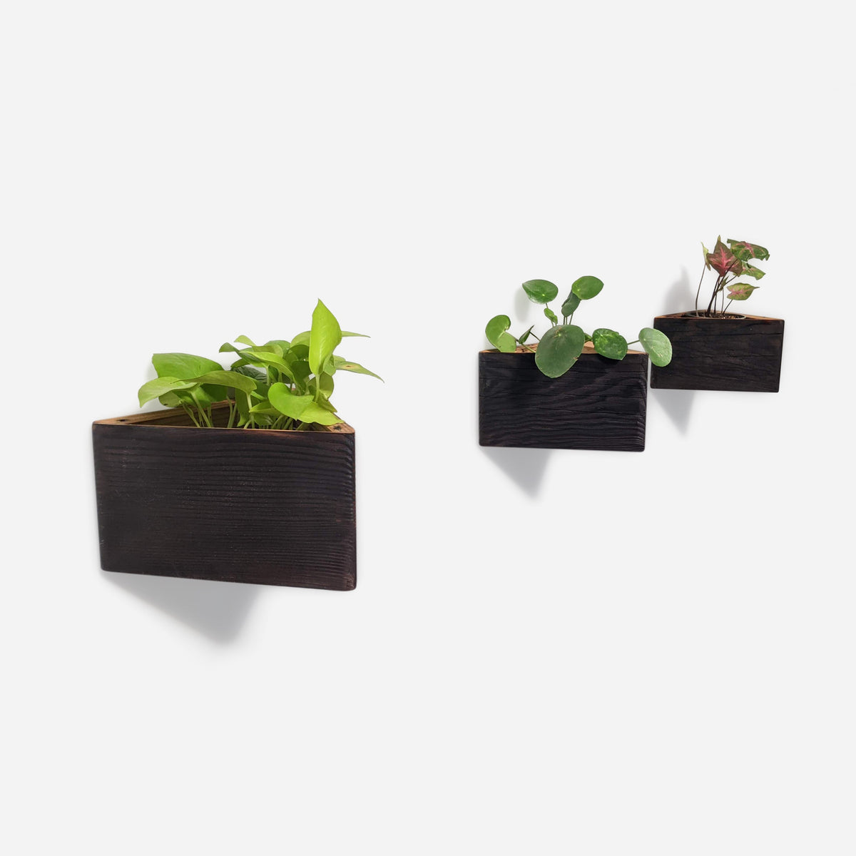 Triangle wall-mounted planter-5