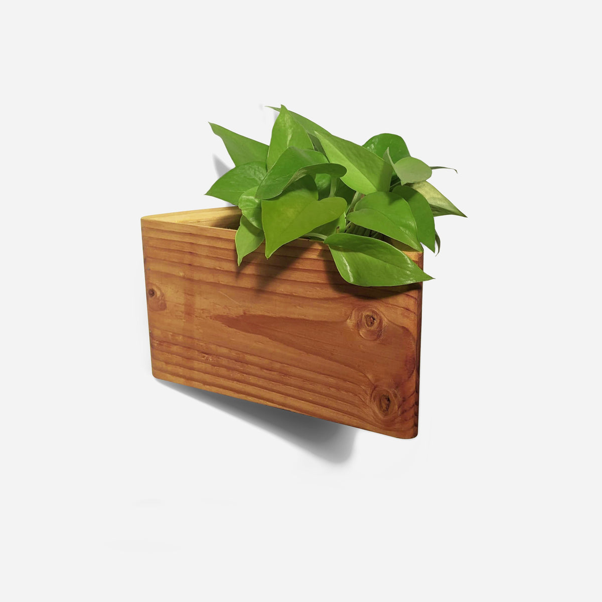 Triangle wall-mounted planter-1