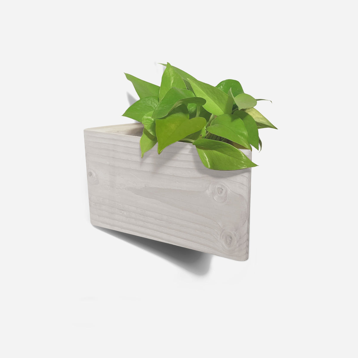 Triangle wall-mounted planter-4