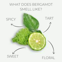 Bergamot Candle