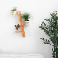 Wallflower plant shelf-0