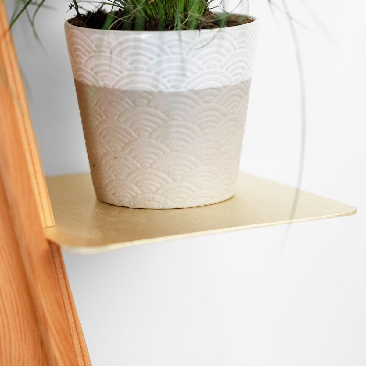 Wallflower plant shelf-4