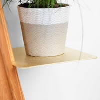 Wallflower plant shelf-4