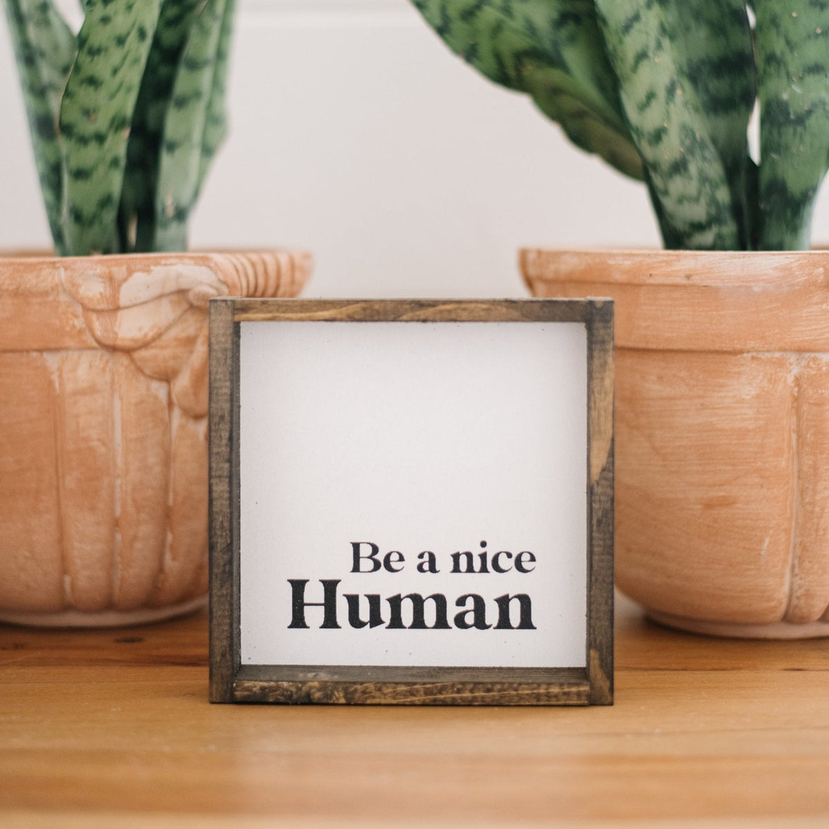 Be a Nice Human Mini Wood Sign