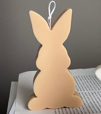 Easter Bunny Candle Set-4