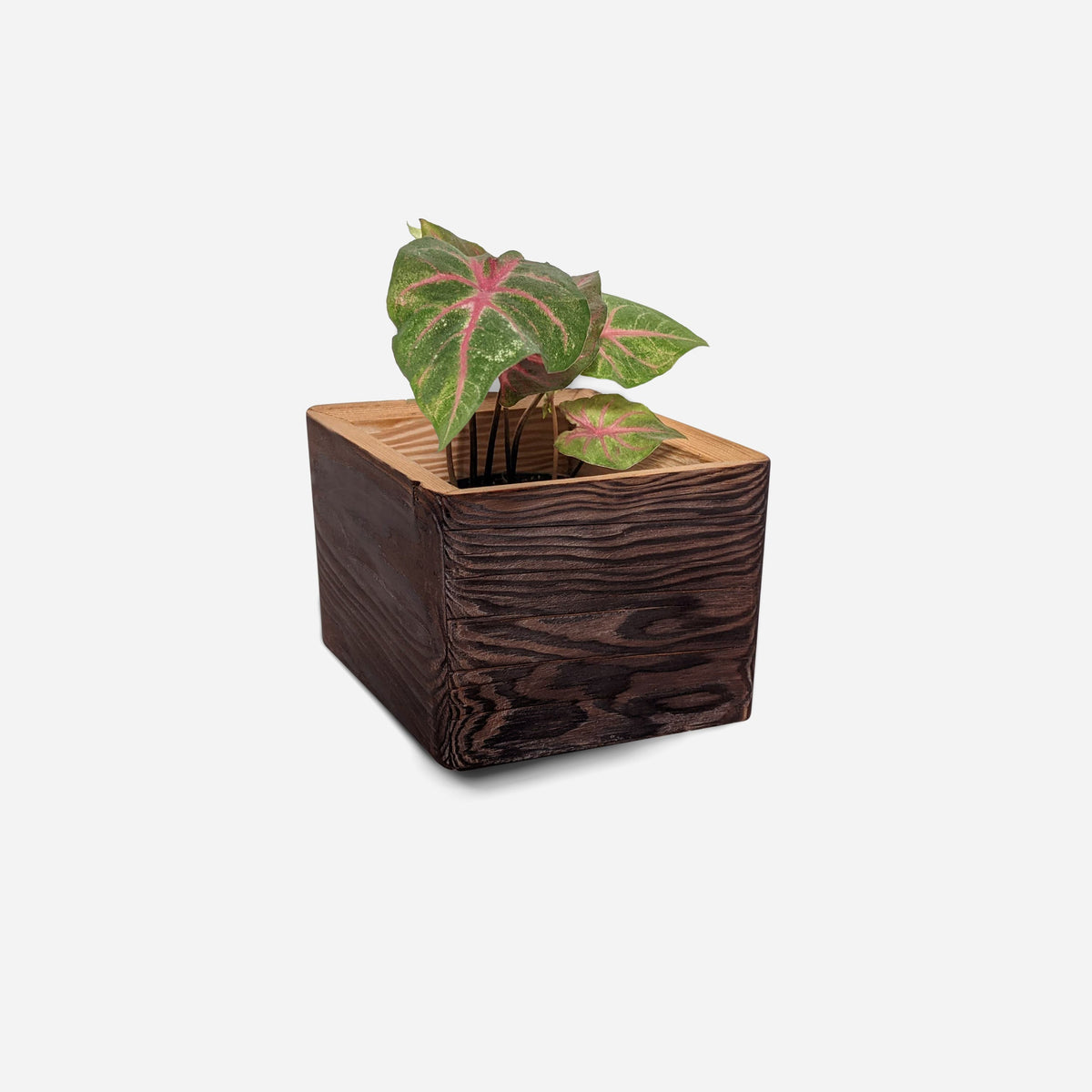 Diamond self-watering, wall-mounted planter-2